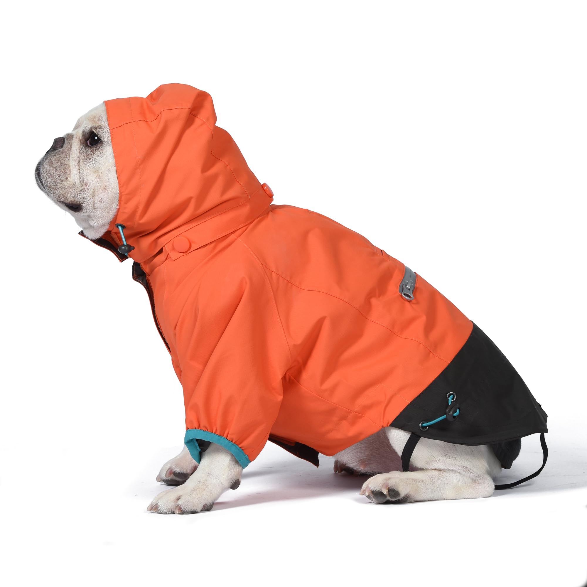 Orvis Dog All Season Trekker 3-in-1 Coat for Dogs, Size Small; Orange High Visibility All Weather Dog Coat with Raincoat & Fleece Vest that Can Be Worn Separately or Together; Removable Hood